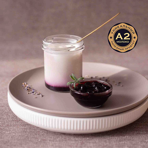 Йогурт греческий «Сальково» с черничным вареньем